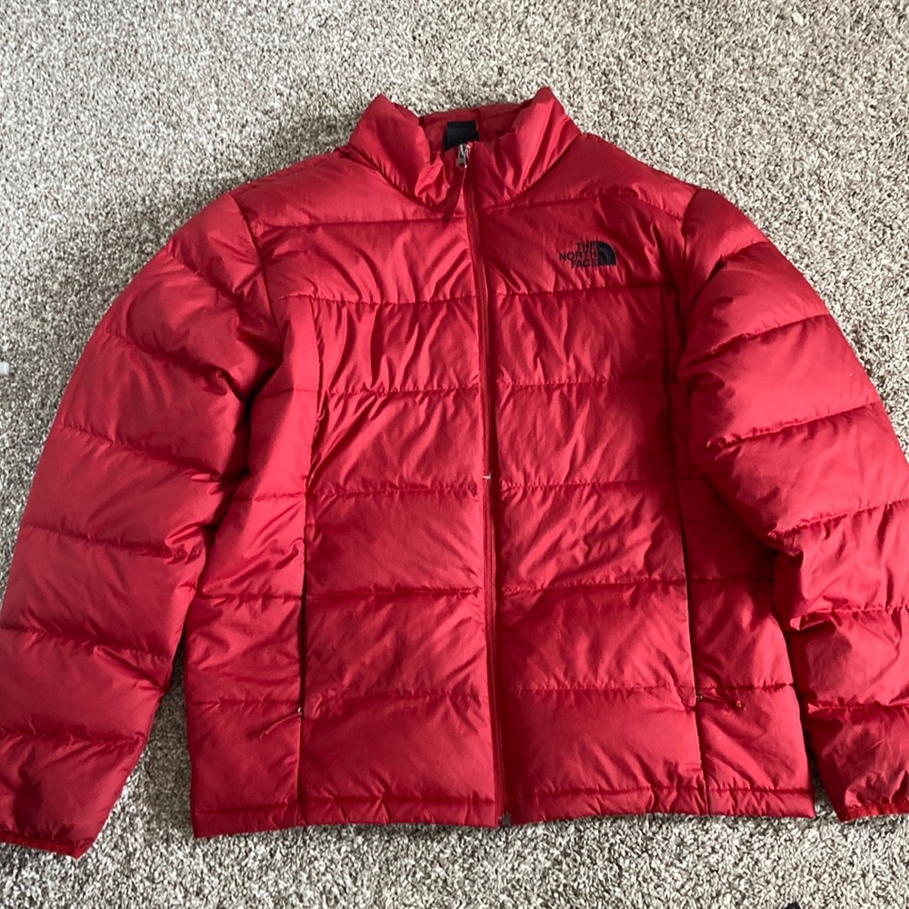 Brand: north face